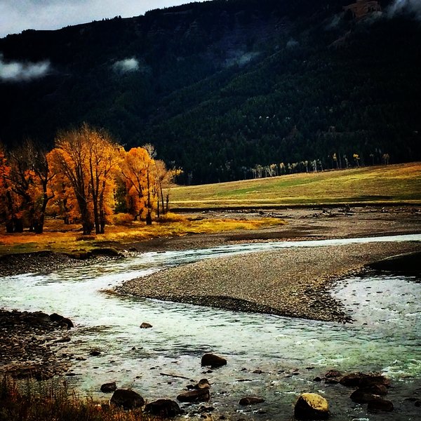 Fall colors in the Lamar Valley near the Specimen Ridge Trail.