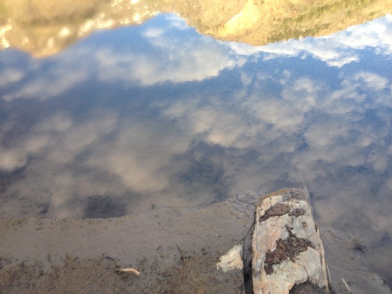 Even reflections can be inspiring, like this one found in one of the small beaver ponds up Broads Fork.