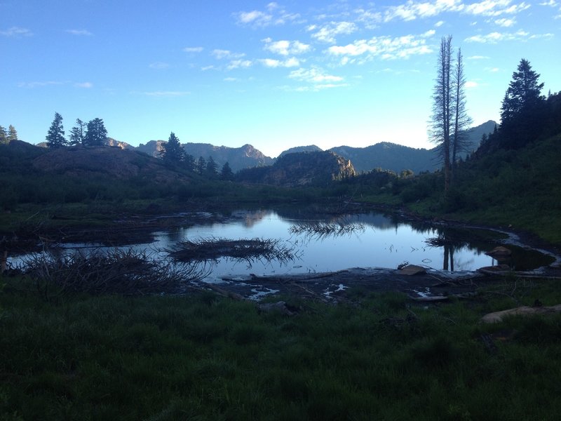 Incredible views surround one of the beaver ponds up Broads Fork.