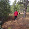 Early spring on the Dover Overlook Trail with Nancy.