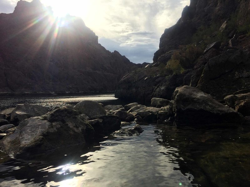 Overlooking the Colorado River at the mouth of Gold Strike Canyon.