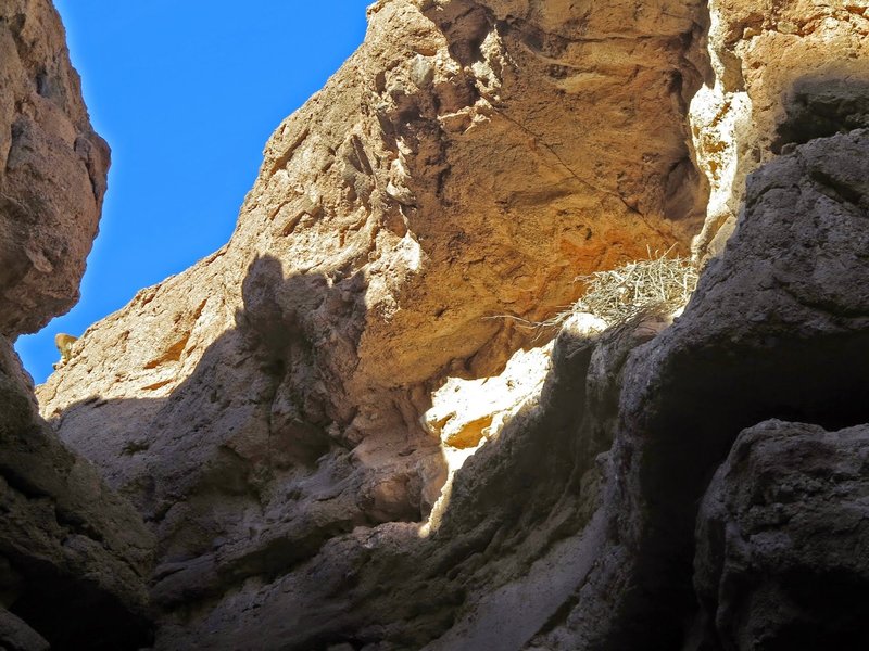 White owl nest, as seen from the Shoreline and White Owl Canyon trail.