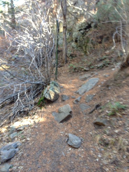 T-intersection with Beaver Brook.