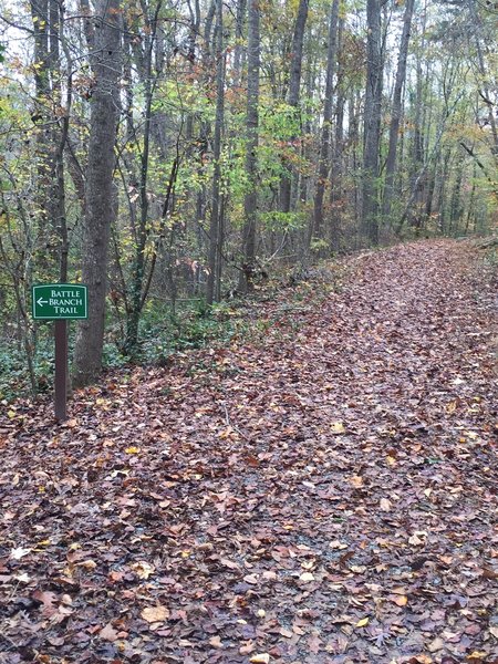 Connecting trail between Upper Trail portion and Lower Trail portion of Battle Branch Trail.