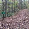 Connecting trail between Upper Trail portion and Lower Trail portion of Battle Branch Trail.