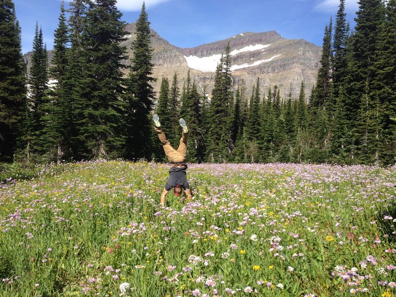 Taking a short break to do a handstand in a field of flowers.