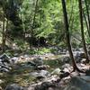 Crosswords at the Big Sur River on the Pine Ridge Trail. Downriver, are the hot springs. Upriver, lies the campsite.