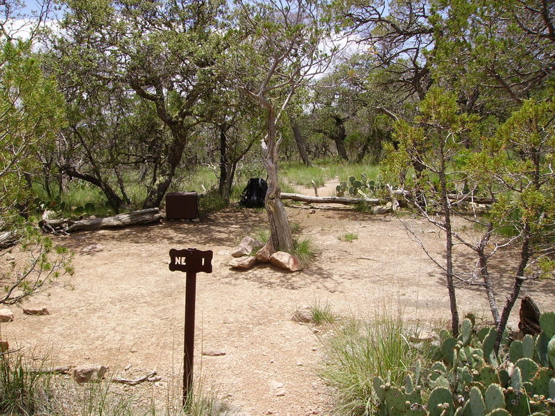 You might have to share your East Rim campsite with a few cacti.