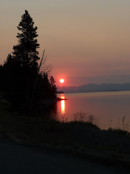 Sunrise along Yellowstone Lake.