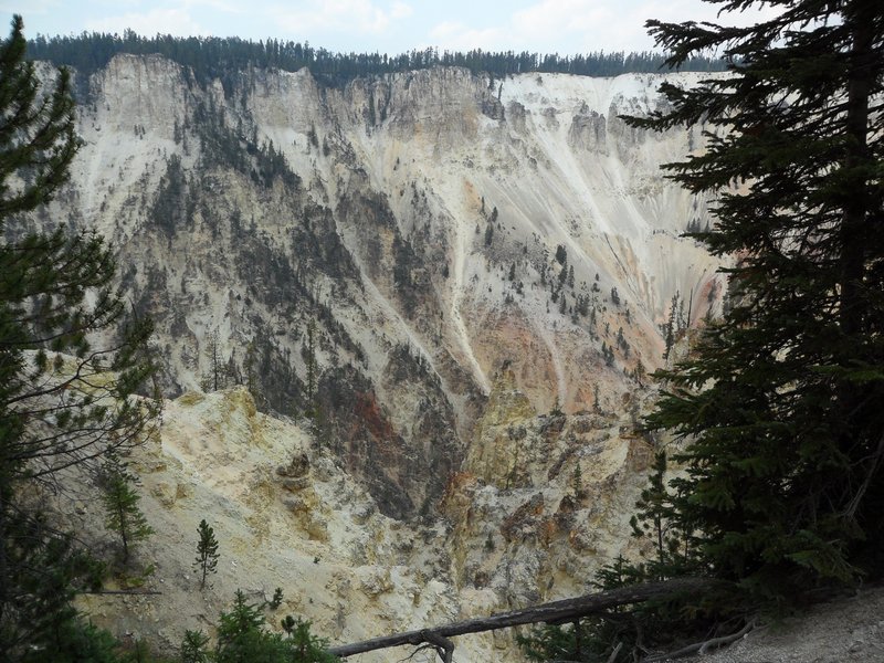 Grand Canyon of Yellowstone.