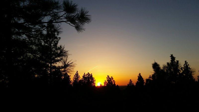 While the best views are atop Nimbus Knob and Eagle Peak in the Dishman Hills, there are beautiful views available from other spots on the trail as well.