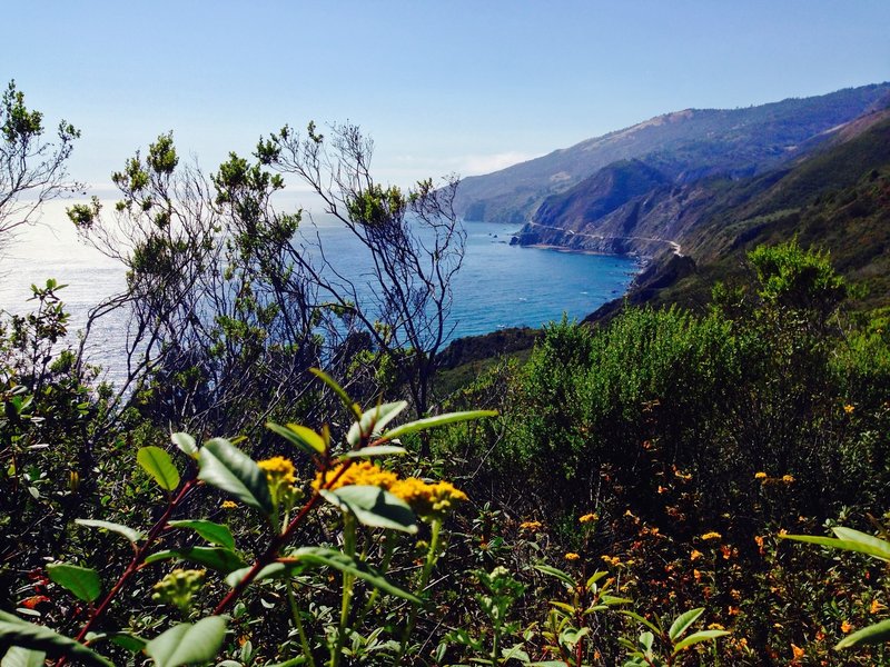 Starting early on the trail, the views of the Pacific Ocean get pretty amazing.