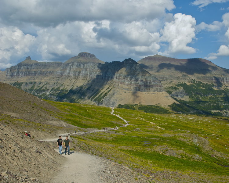 The trail back to Logan Pass.