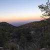 Heading west (downhill) on Tanque Verde Ridge Trail.