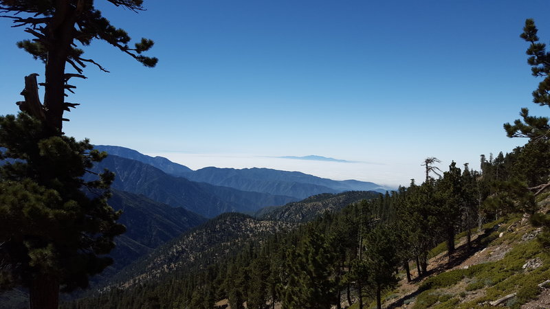 Dawson Saddle/PCT view