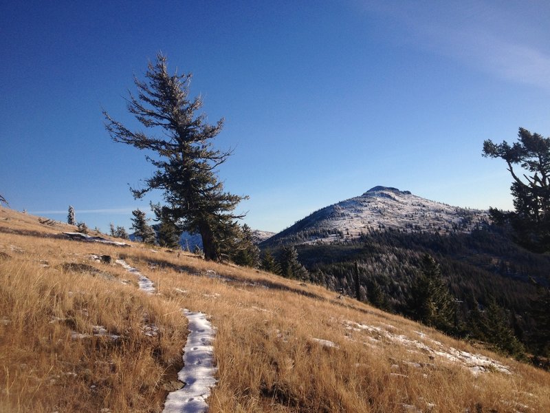 Grassy slopes and snowy peaks.