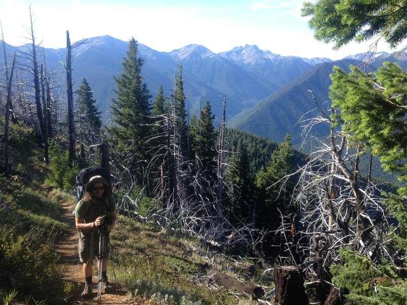 Looking south towards Gray Wolf and Cameron Valley's.