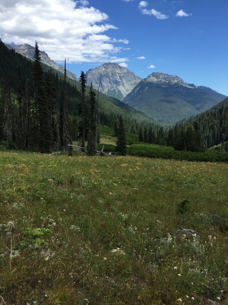 Looking south towards the mountains surrounding the Dosewalips Valley.