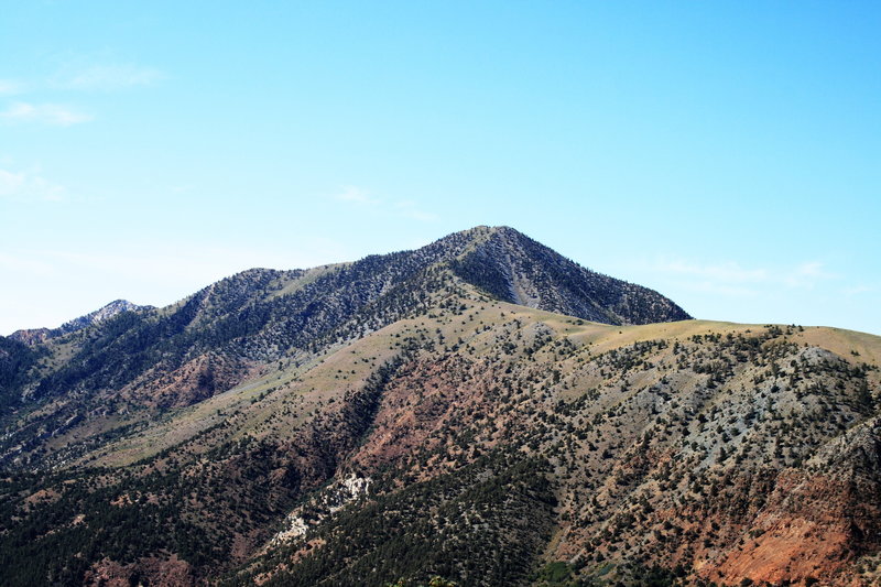 Telescope Peak