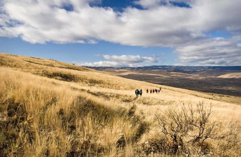 View of hikers travelling through the native grasses of our Shrub-Steppe.