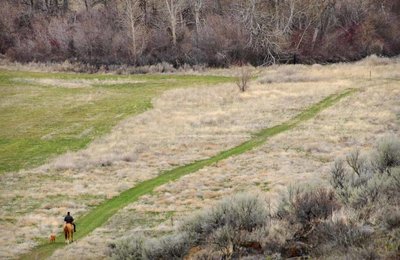 Crossing the riparian meadow which is under restoration with native grasses.