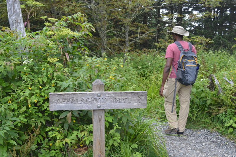 AT hiker crossing Clingman's Dome trail.