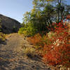 Riotous fall color along an old irrigation canal ditch bank.