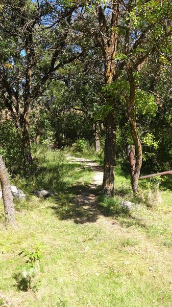 The start of the Butte St. Paul trail.