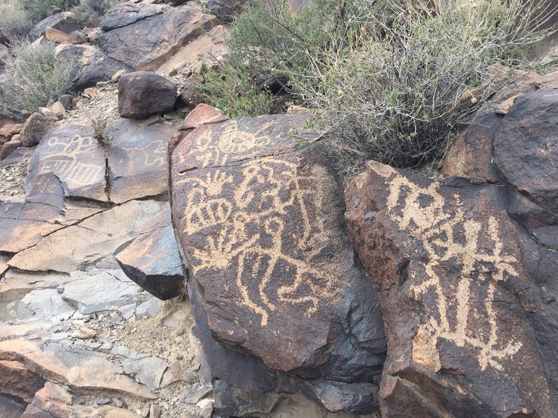 Several of the literally hundreds of petroglyphs just above the third waterfall in "Petroglyph Canyon."