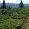 Near the start of Wilder Gulch Trail