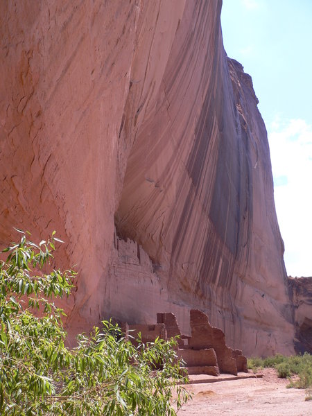 View of White House ruins built into a cliff at Canyon de Chelly.