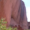 View of White House ruins built into a cliff at Canyon de Chelly.