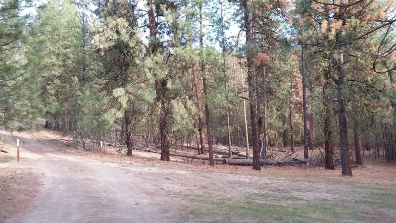 We used to continue on this old road but this goes on to private property so a trail was built to bypass the road and go toward the river.  When you see these signs look for a trail to the right. It is not signed and if you are not looking for the turn you might miss it.