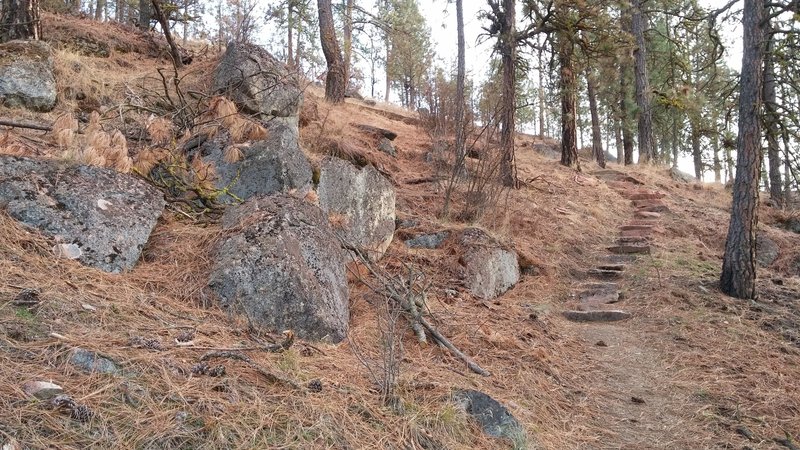 Absolutely love the way the WTA volunteers created stairs with some pretty neat rocks!