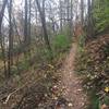 The beginning of the gradual ascent to Crest Trail via the West Overlook Trail.