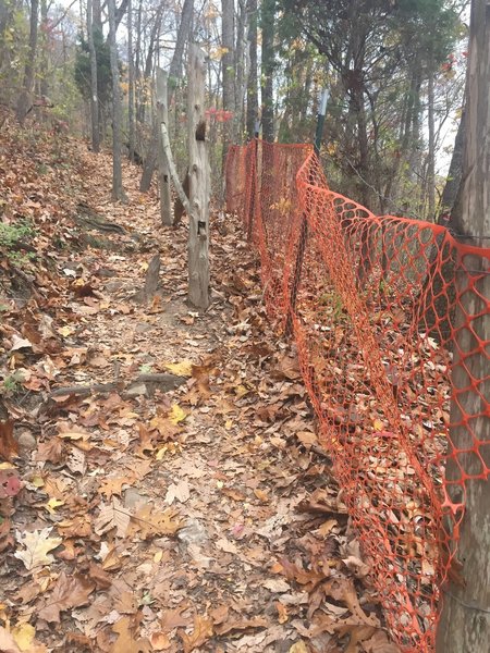 Some switchbacks on the West Overlook Trail have orange fencing due to erosion.