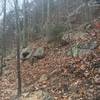 House Mountain has large sandstone boulders along much of the trail.