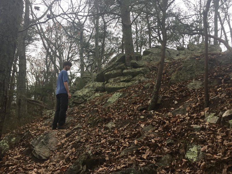 Nick hiking along the ridge of the Crest Trail.