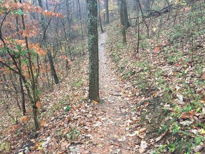 The beaten path of Mountain Trail leading back to the parking area.