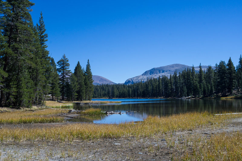 Dog Lake