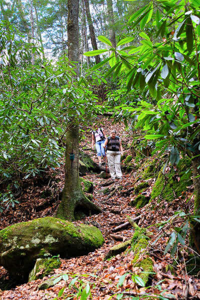 Hiking descend the Honey Creek Trail.