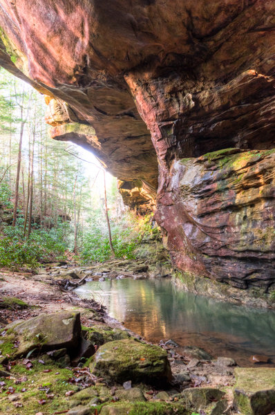 Honey Creek Trail