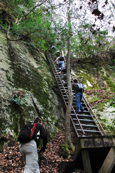 Stairs along Honey Creek Trail.