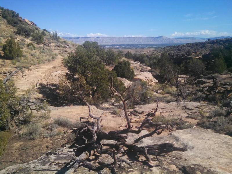 Looking out across the valley toward Mt. Garfield from the Butterknife Trail.