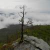 The clouds linger below the mountains in Linville Gorge on a crisp fall morning.