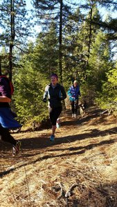 Floating on a carpet of gold