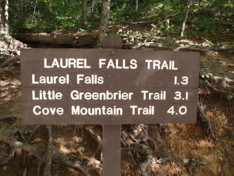 Laurel Falls Trail