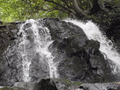 Laurel Falls as seen from it's namesake trail in Great Smoky Mountains National Park.