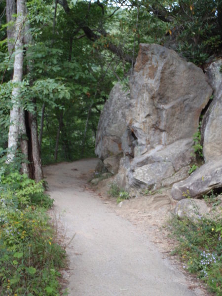 Laurel Falls Trail.