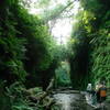 The last portion of trail on the way to Fern Canyon in Redwoods State Park.